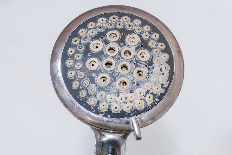 showerhead.jpg